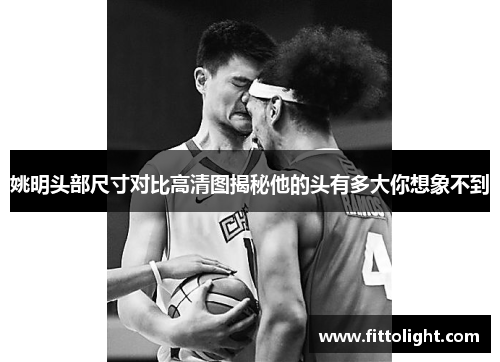 姚明头部尺寸对比高清图揭秘他的头有多大你想象不到