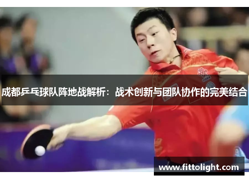 成都乒乓球队阵地战解析：战术创新与团队协作的完美结合